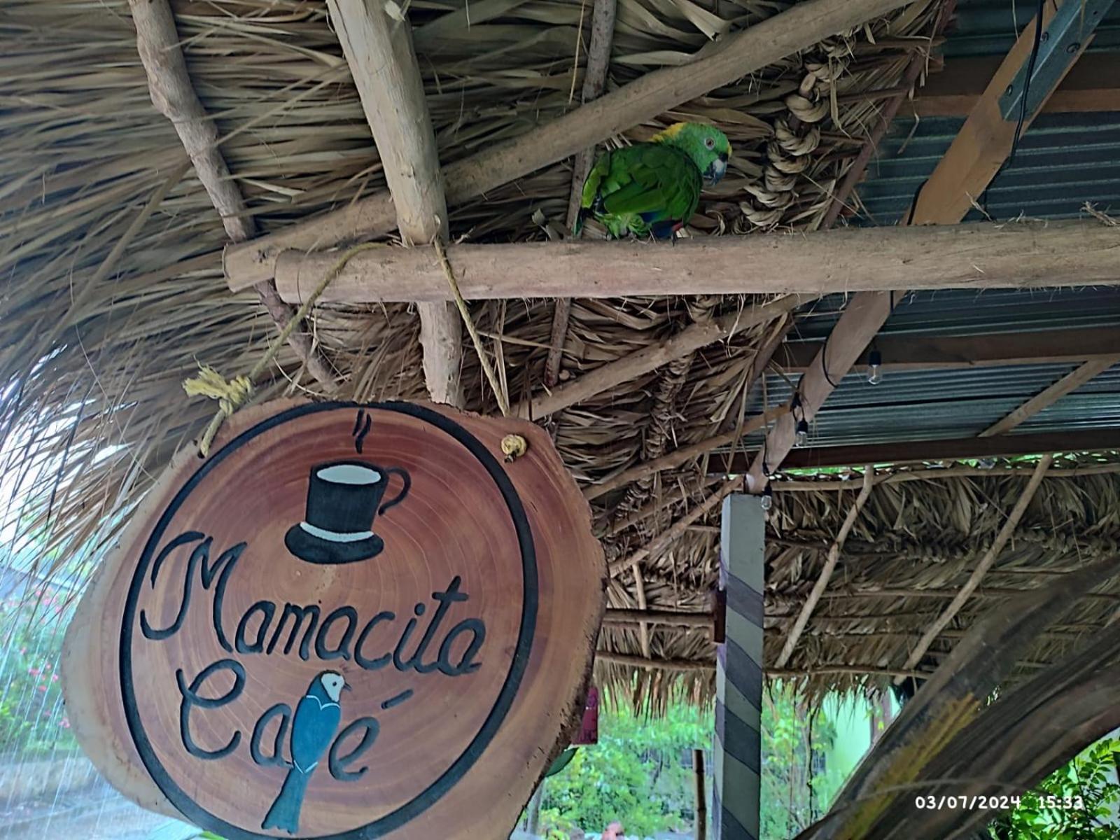 Mamacita Cafe House Hotel Moyogalpa Ngoại thất bức ảnh