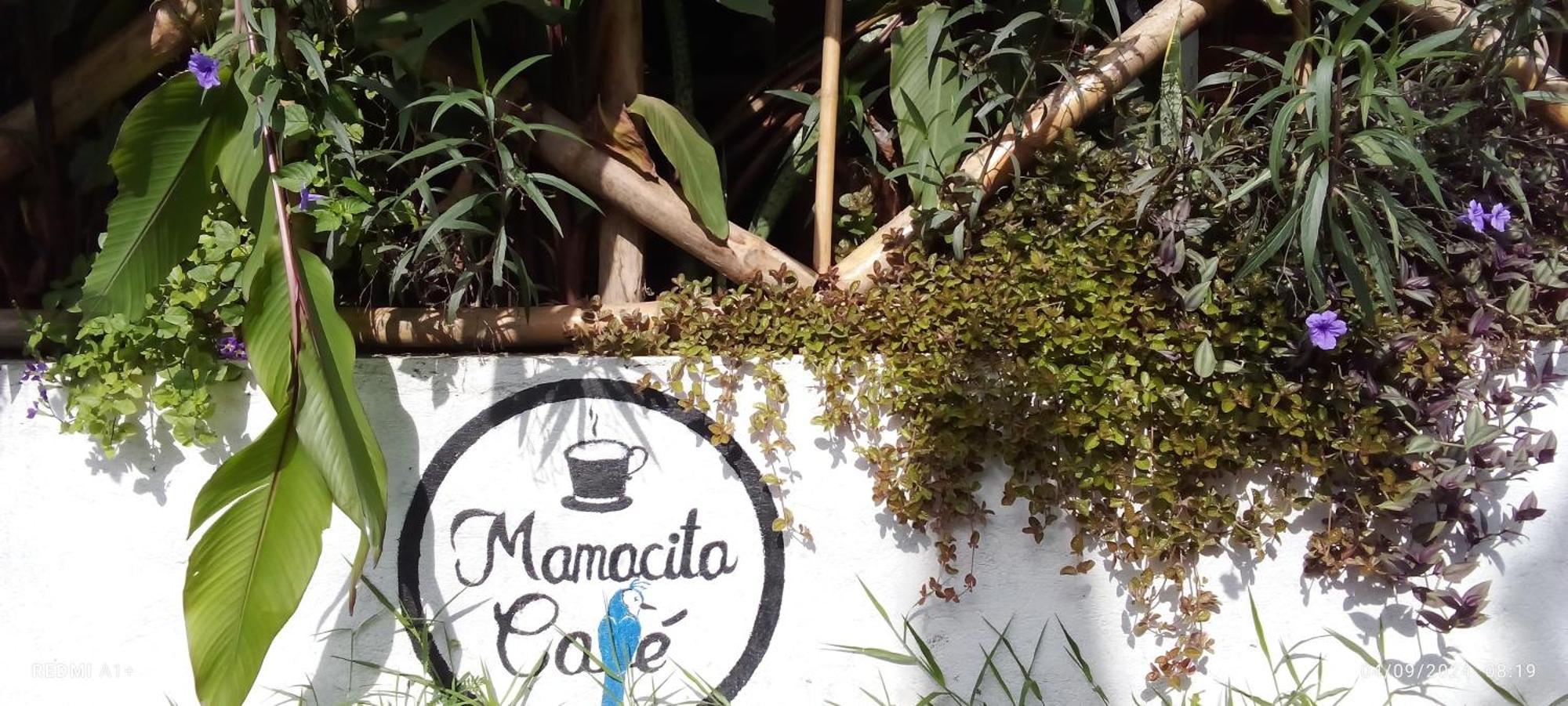 Mamacita Cafe House Hotel Moyogalpa Ngoại thất bức ảnh